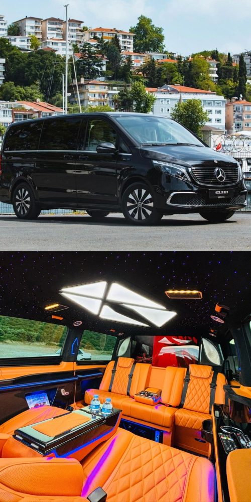 WhatsApp Image 2026-02-16 at 17.20.03